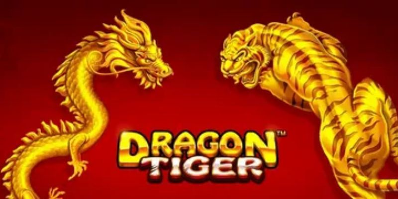 Luật chơi Rồng vs Hổ B52 đơn giản