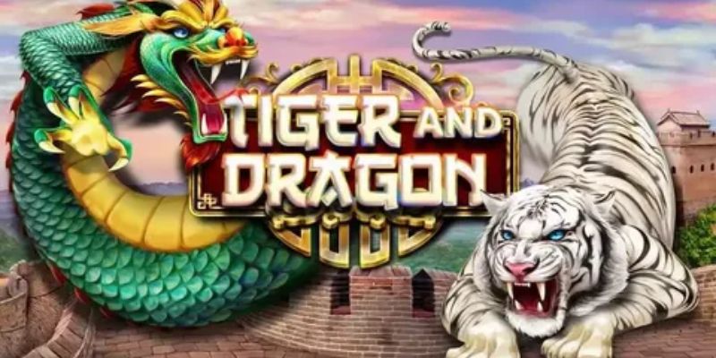 Tại sao nên chọn Rồng vs Hổ B52